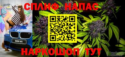 стаф Ливны
